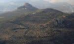 Cette photo prise le 22 juillet 2022 montre des oliviers près de Jaen, dans le sud-est de l’Espagne.