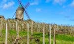 L’emblématique moulin-à-vent qui a donné son nom à la célèbre appellation viticole.